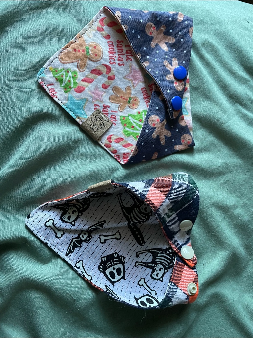 🦆 2 Cat Bandanas
